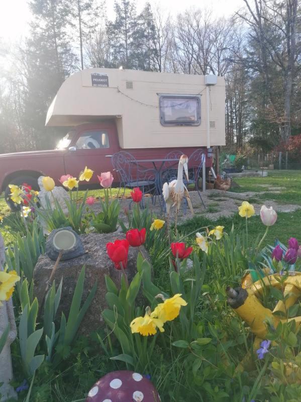 Le Pick Up 403 Vintage Otel Oradour-sur-Glane Dış mekan fotoğraf